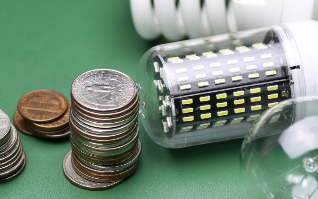 Sustainable Growth: Revenue Protection in African Electricity Utilities